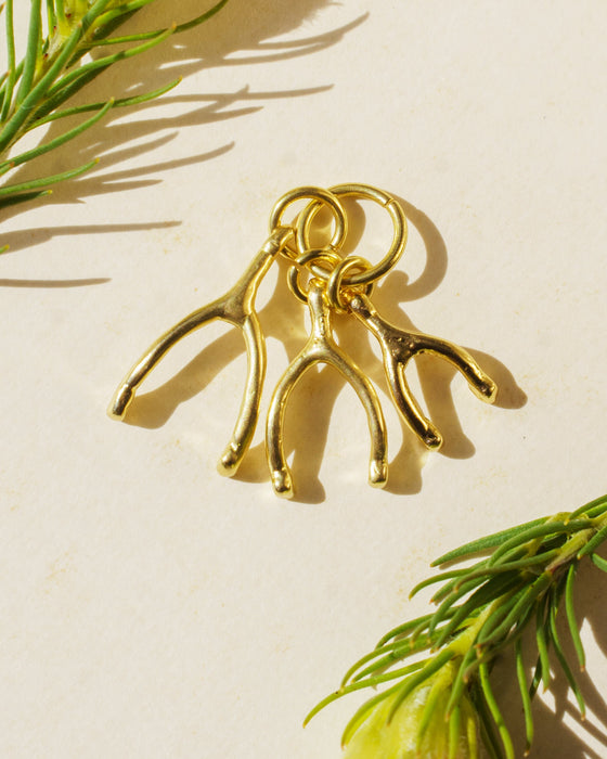 3 Wishes Charm