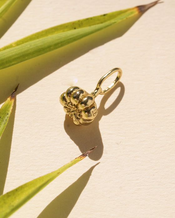Garlic Charm