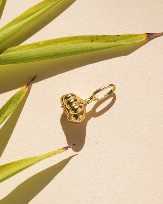 Garlic Charm