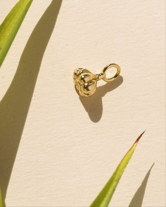 Mini Garlic Charm