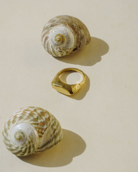 Plateau Ring - satomistudio