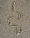 Serpent Choker - satomistudio